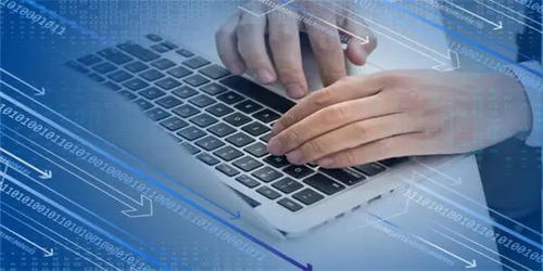 信息技術服務逆勢領漲，新IT持續引領數字化破局