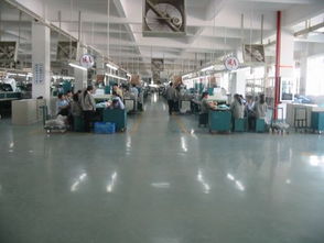 深圳技術服務 創新引擎，驅動城市高質量發展