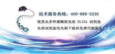 酶聯免疫 技術服務