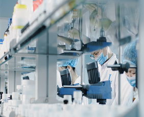 廣州蘿薇 次拋代加工廠 長沙次拋代加工